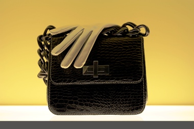 Featured is a photo of one elegant handbag ... complete with gloves ... by Pat Herman of Belgium.
